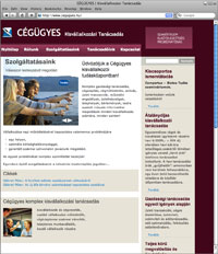 Cégügyes