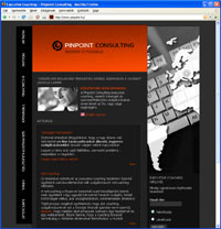 PINPOINT Consulting - az executive coaching specialista